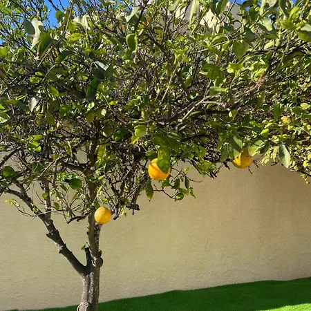 Maison d'hôtes La Dulce Soleada *
